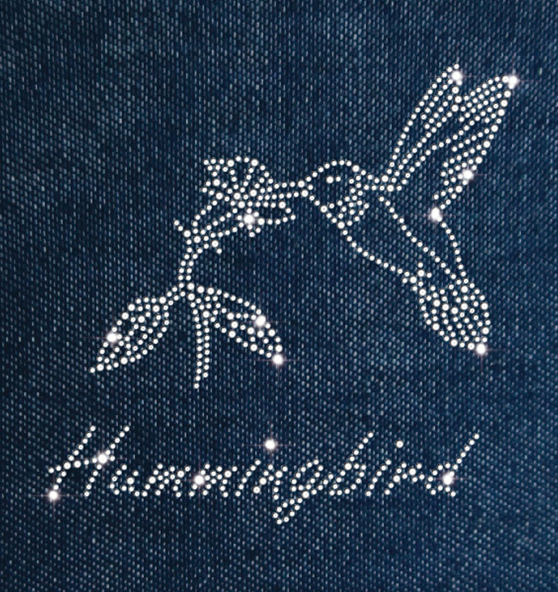 Hummingbird