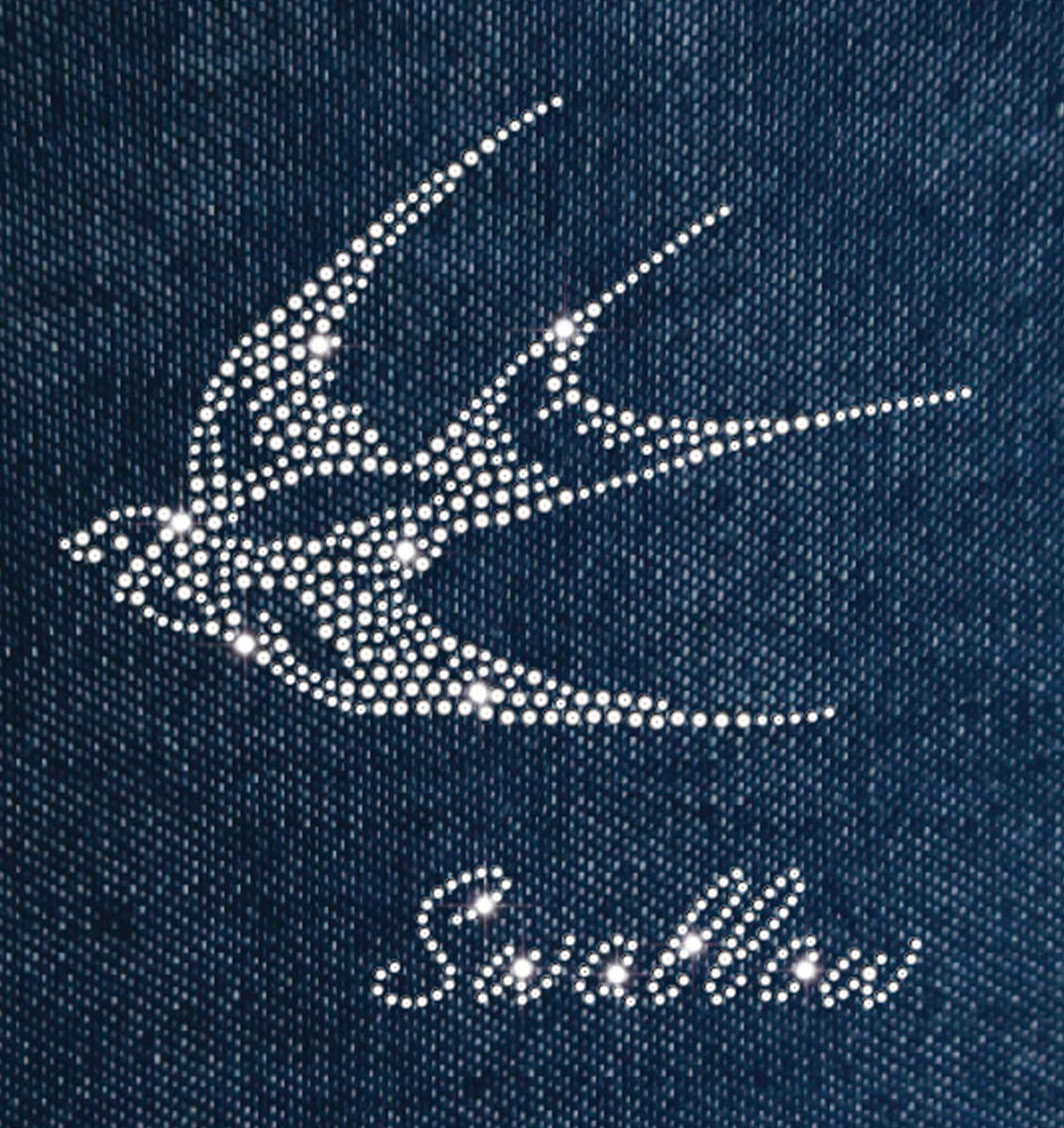 Swallow